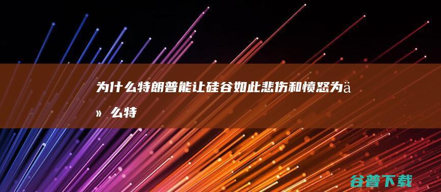 为什么特朗普能让硅谷如此悲伤和愤怒 (为什么特朗普上任黄金会跌)